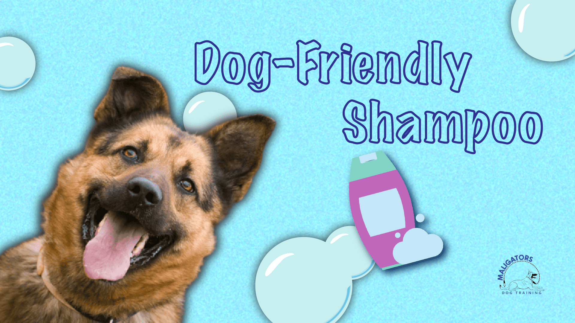 Dog-Friendly Shampoo & Why You Should Use it