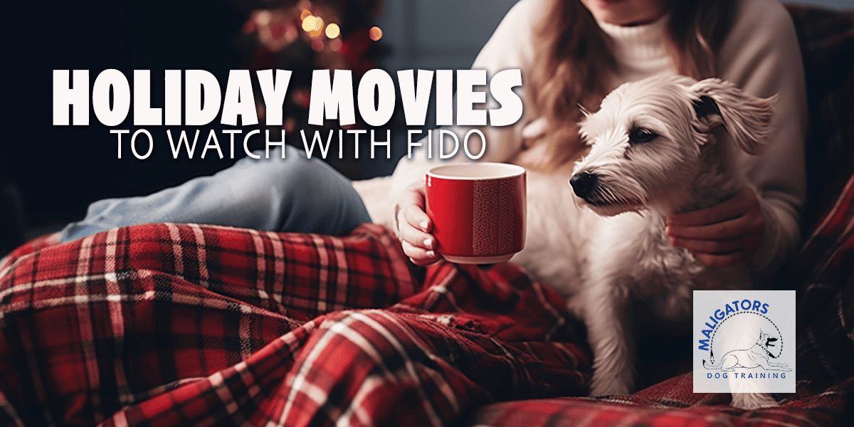 Holiday Movies to Watch with Fido