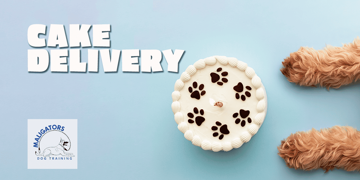 Top 5 Dog-Friendly Cakes To Deliver To Your Doorstep