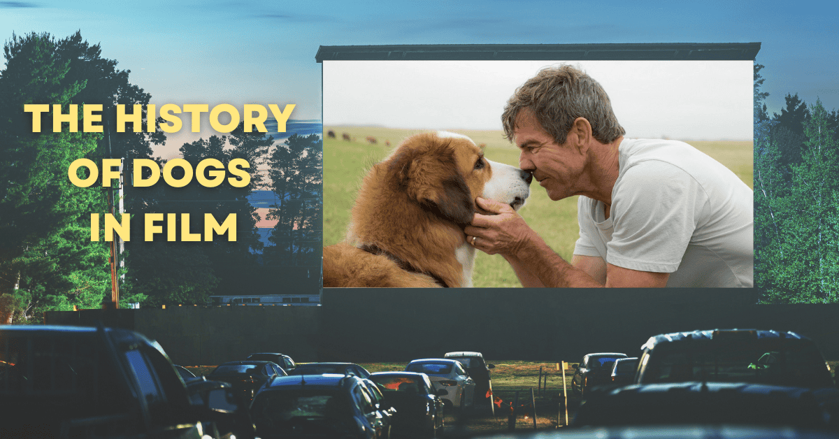 The History of Dogs in Film