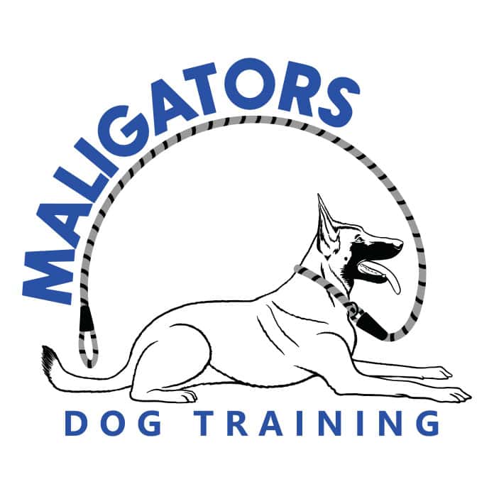 Maligators Dog Training logo